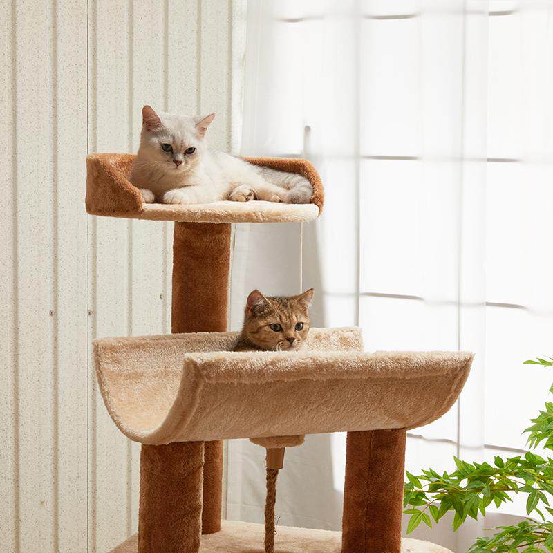 Torre para Gatos de Lujo con E - Home Decor Kota reseña y precio